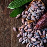 Cacao