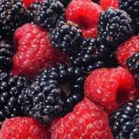 Juicy red berries