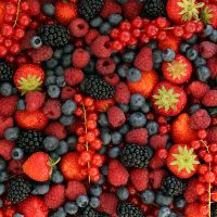 Red Fruits