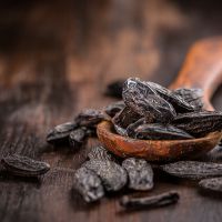 Tonka Bean