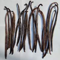 Vanilla