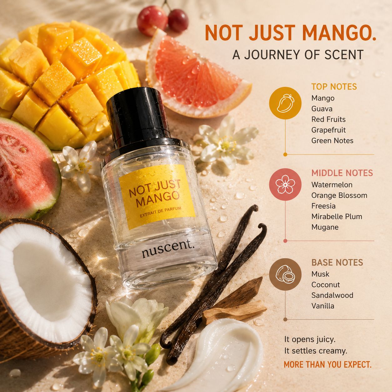 Not Just Mango