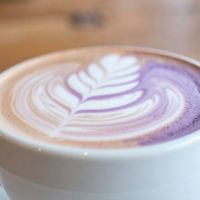 Ube Latte Accord