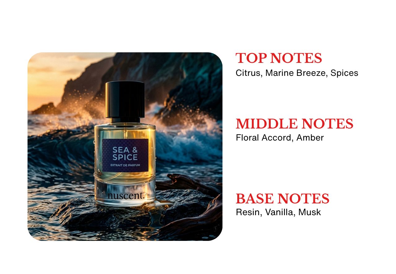 SEA & SPICE